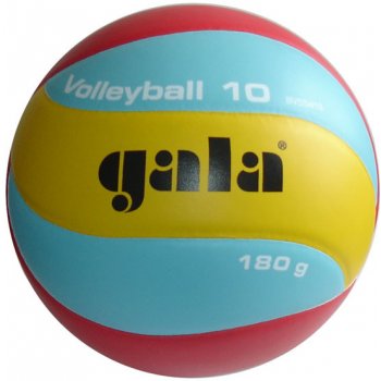 Gala Volleyball 10 BV 5651 S