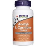 Now Foods Foods Acetyl-L-Carnitine 500 mg 50 kapslí – Hledejceny.cz