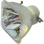 Lampa pro projektor NEC NP405, originální lampa bez modulu