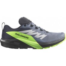 Salomon Sense Ride 5 Gore-Tex šedá