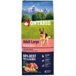 Ontario Adult Large Beef & Rice 2 x 12 kg – Hledejceny.cz