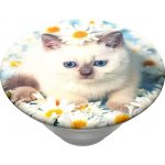 PopSockets PopTop Gen.2, Purr-fect Flower, koťátko v kopretinách, výměnný vršek – Hledejceny.cz