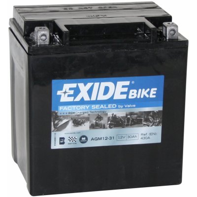 Exide AGM12-31 | Zboží Auto