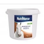 Nutri Horse Muscle E + C 2 kg – Hledejceny.cz