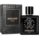 Roberto Cavalli Uomo toaletní voda pánská 60 ml – Hledejceny.cz