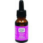 Sweet Home Vonný olej Růže a fialky 15 ml – Zboží Dáma