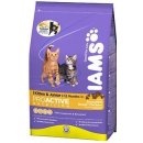 Krmivo pro kočky Iams ProActive Health Kitten 10 kg