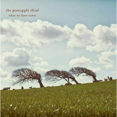 The Pineapple Thief - What We Have Sown LP