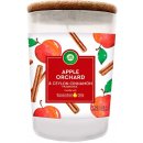 Air Wick Essentials Oils Apple Orchard & Ceylon Cinnamon 185 g