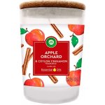 Air Wick Essentials Oils Apple Orchard & Ceylon Cinnamon 185 g – Hledejceny.cz