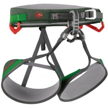 Mammut Togir Light