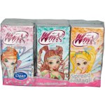 Clean Winx papírové kapesníčky s potiskem 4-vrstvé 6 ks – Zboží Dáma