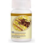 DXN Cordyceps housenice 60 kapslí – Hledejceny.cz
