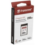 Transcend 256 GB TS256GCFX600 – Zboží Živě