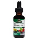 Nature´s answer Holistické bylinné kapky Hloh jednosemenný 30 ml