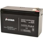 FUKAWA Fiamm Akumulátor FW 9-12 HRU (12V / 9Ah) 10810 – Zboží Živě
