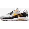 Skate boty Nike Air Max 90