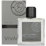 Vivaco Silver edition voda po holení Gentleman 100 ml – Zbozi.Blesk.cz