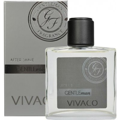 Vivaco Silver edition voda po holení Gentleman 100 ml – Zbozi.Blesk.cz