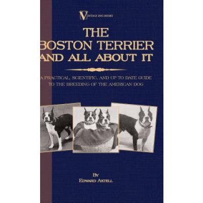 Boston Terrier And All About It - A Practical, Scientific, And Up To Date Guide To The Breeding Of The American Dog A Vintage Dog Books Breed Classic