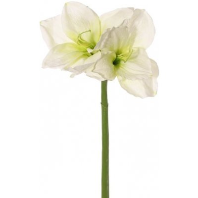 Amarylis 'exclusive' umělý - bílo-zelený, 2 velké květy 70cm, jedno poupě – Zboží Mobilmania