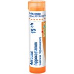 AESCULUS HIPPOCASTANUM POR 15CH GRA 1X4G – Hledejceny.cz