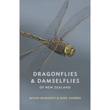 Dragonflies and Damselflies of New Zealand