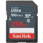 SanDisk SDXC 256 GB SDSDUNR-256G-GN3IN – Zbozi.Blesk.cz