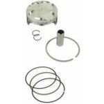 Athena S5F09550001B | Zboží Auto