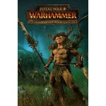 Total War: WARHAMMER - Realm of the Wood Elves Campaign Pack – Hledejceny.cz