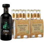 Xibal 45,0% 0,7 l Fever Tree Indian Tonic 8 x 0,2 l (set) – Sleviste.cz