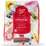 Sunday Pets Gentle Bake Adult Small & Medium Breed Beef 1,3 kg – Hledejceny.cz
