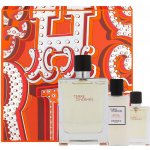 Hermès Terre D'Hermes toaletní voda pánská 100 ml – Hledejceny.cz