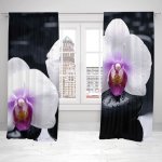 IMPAR Závěsy Bílá orchidej (Rozměr : 140x250, Materiál: Blackout) – Hledejceny.cz