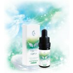 Eurona Angelic Lights vonný olej Tajuplný cedr 5 ml – Hledejceny.cz