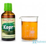 Bylinné kapky Kopr tinktura 50 ml – Hledejceny.cz
