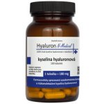 Hyaluron N-Medical 100% čistá kyselina hyaluronová 100 tobolek – Hledejceny.cz