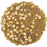 ZdravýDen Směs semen na klíčení 3 bio cizrna čočka pískavice 200 g – Zboží Dáma