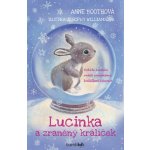 Lucinka a zraněný králíček - Boothová Anne – Hledejceny.cz