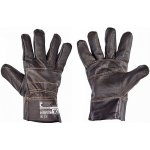 Cerva FRANCOLIN – Sleviste.cz