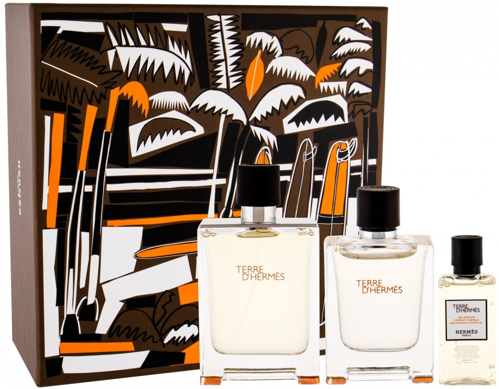 Hermes Terre d´Hermes EDT 100 ml + EDT 5 ml + sprchový gel 40 ml dárková sada