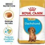 Royal Canin Dachshund Puppy 1,5 kg – Hledejceny.cz