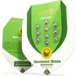 Royal Queen Seeds Amnesia Haze Automatic semena neobsahují THC 5 ks – Zboží Dáma Royal Queen Seeds Amnesia Haze Automatic semena neobsahují THC 5 ks – Zboží Dáma