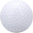 Longridge Blank 2 Piece Golf Ball