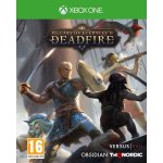 Pillars of Eternity 2: Deadfire – Hledejceny.cz