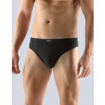 Gina pánské slipy s úzkým bokem, úzký bok, šité, s potiskem, jednobarevné 70058P bílá – Sleviste.cz