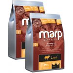 Marp Holistic Lamb ALS Grain Free 2 x 12 kg – Hledejceny.cz