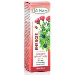 Dr.Popov Energie bylinné kapky 50 ml – Hledejceny.cz