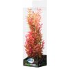 Akvarijní rostlina I--Z ATG Premium rostlina střední 26 až 32 cm 406