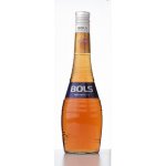 Bols Apricot 24% 0,7 l (holá láhev) – Sleviste.cz